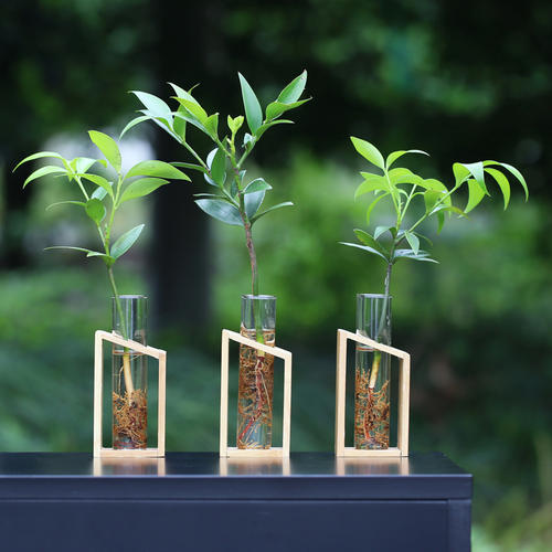 植物冠層分析儀應用的意義