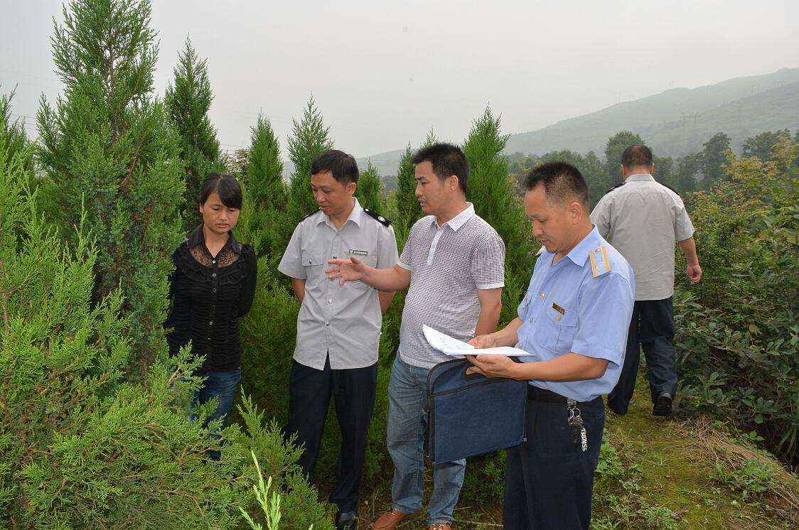 林業(yè)檢測 林業(yè)檢測