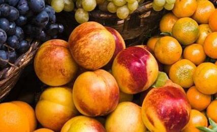 果蔬呼吸測(cè)定儀