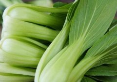 植物冠層分析儀如何助力農業(yè)研究？