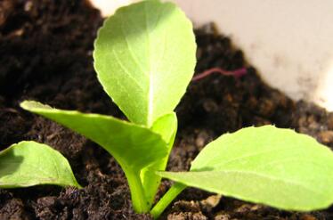 1621310209929622.jpg QQ截圖20210311132444.jpg